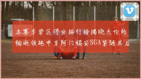 本赛季禁区得分排行榜揭晓杰伦约翰逊领跑申京阿门锡安SGA紧随其后