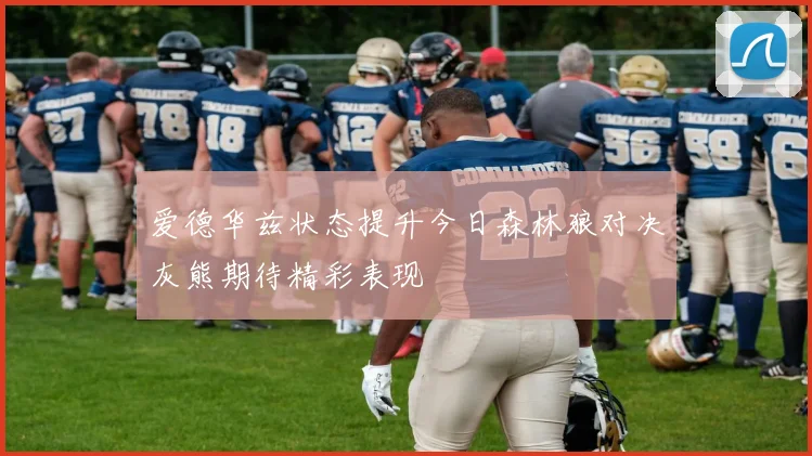 爱德华兹状态提升今日森林狼对决灰熊期待精彩表现