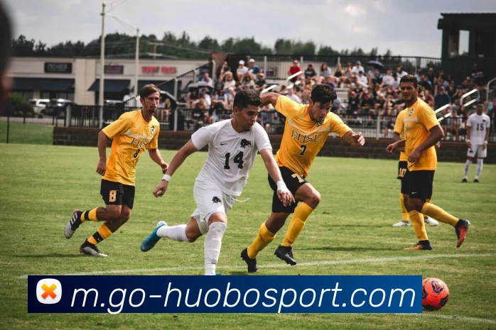 火博体育APP 封面图